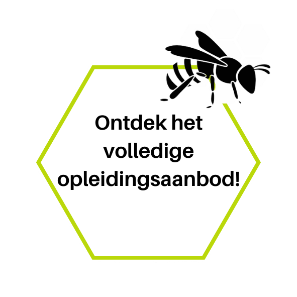 ontdek het volledige opleidingsaanbod